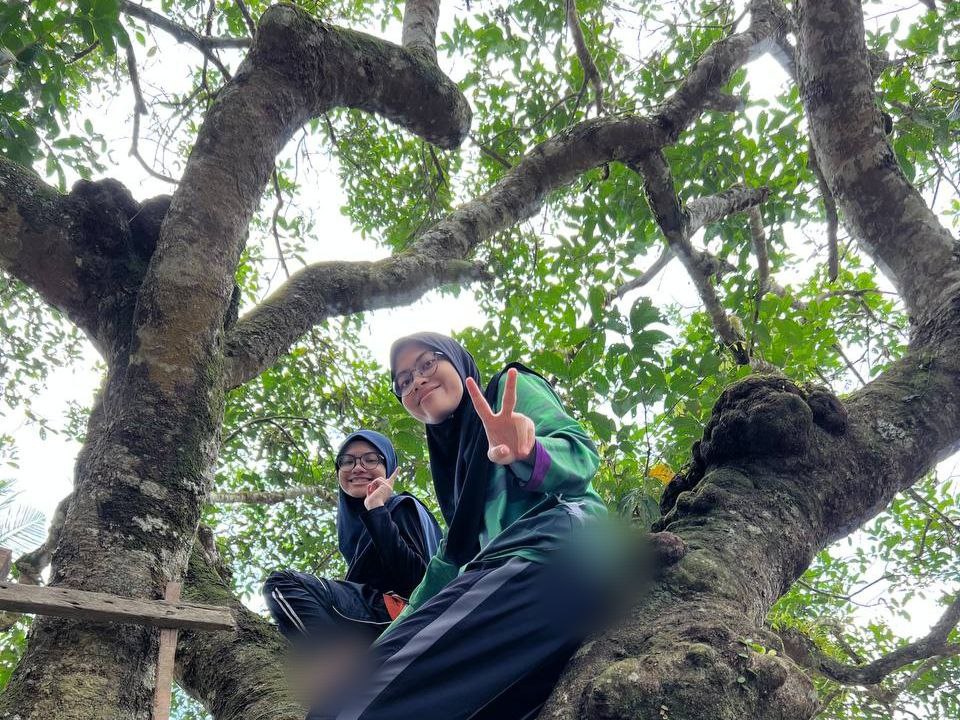 Climb rambutan tree